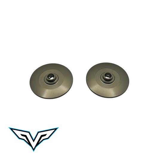 VS2 Slipper Plates (2)
